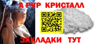 крисы Анапа