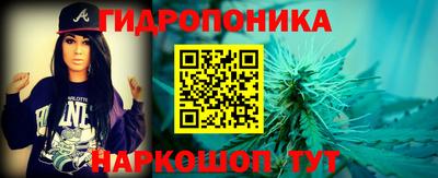крисы Анапа