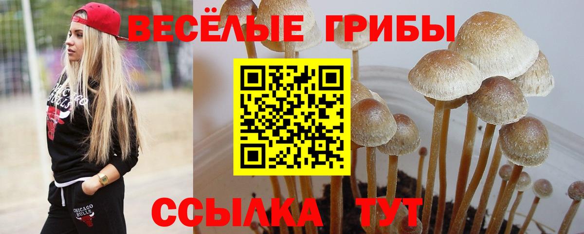 Псилоцибиновые грибы MAGIC MUSHROOMS Белебей